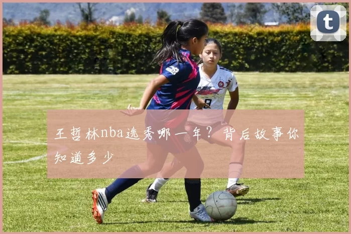 王哲林nba选秀哪一年？背后故事你知道多少