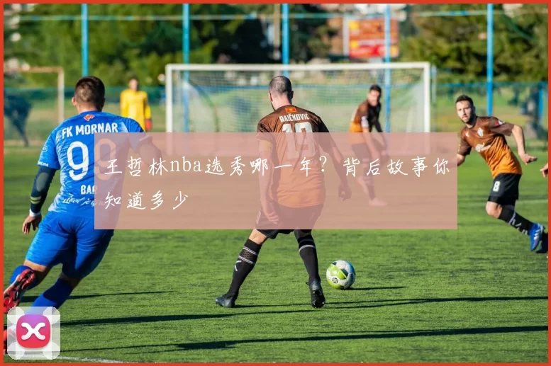 王哲林nba选秀哪一年？背后故事你知道多少