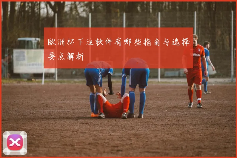 欧洲杯下注软件有哪些指南与选择要点解析