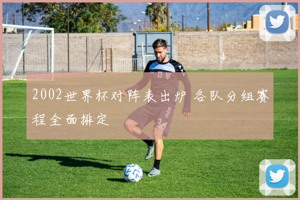 2002世界杯对阵表出炉 各队分组赛程全面排定