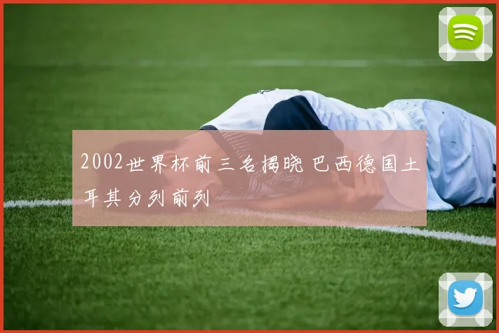 2002世界杯前三名揭晓 巴西德国土耳其分列前列