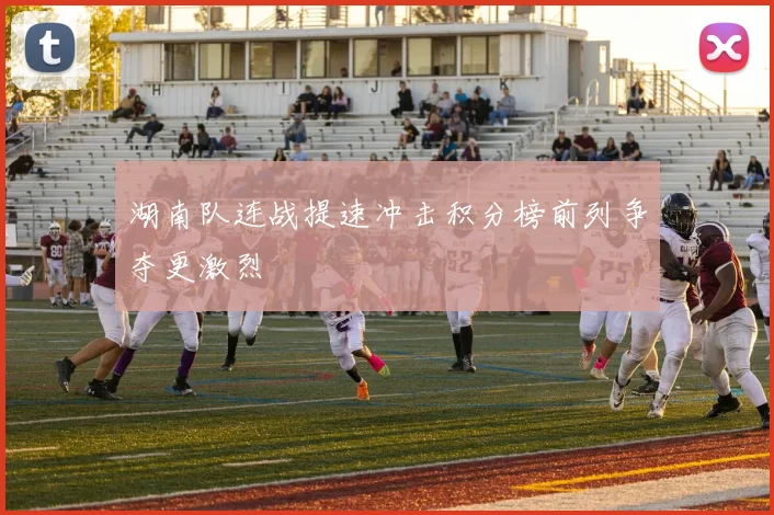 湖南队连战提速冲击积分榜前列争夺更激烈