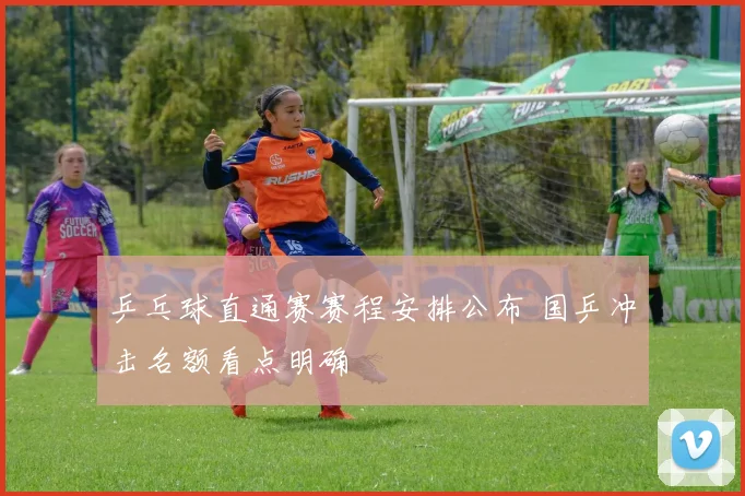 乒乓球直通赛赛程安排公布 国乒冲击名额看点明确