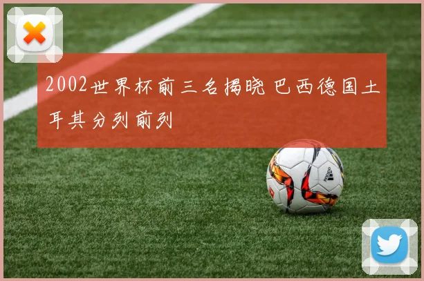 2002世界杯前三名揭晓 巴西德国土耳其分列前列