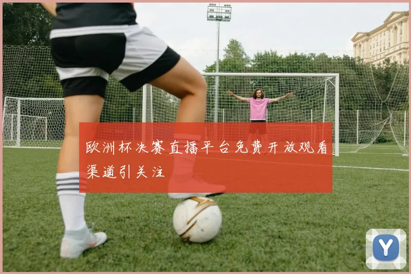 欧洲杯决赛直播平台免费开放观看渠道引关注